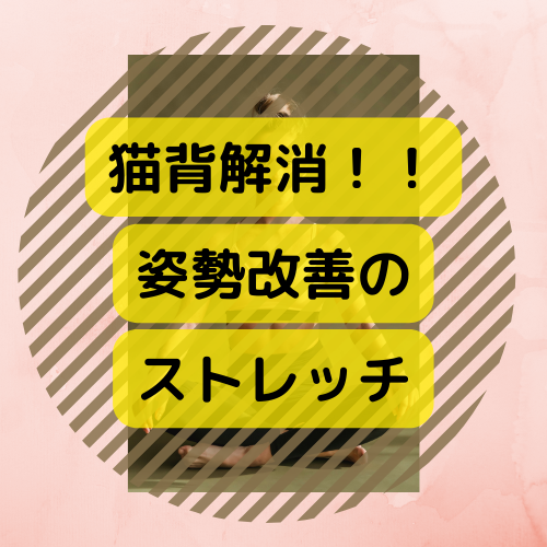 猫背が気になる方に 姿勢を改善するためのスクワットとストレッチ きままな女子ブログ 猫背が気になる方に 姿勢を改善するためのスクワットとストレッチ きままな女子ブログ
